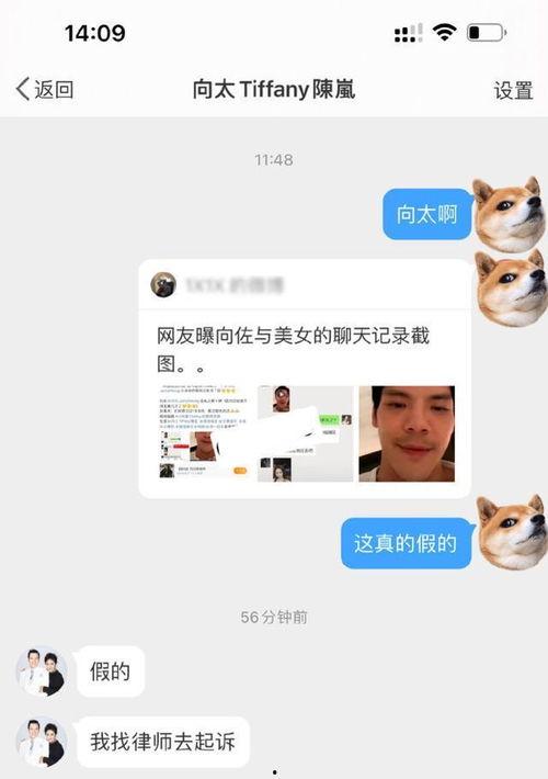 向佐出轨爆料者视频合集,事件全解析  第3张