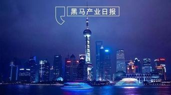 上海东方在线观看,畅享云端视听盛宴