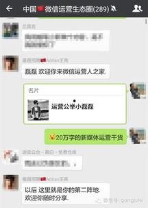 盐山网红吃瓜群微信公众号,揭秘网络红人背后的故事与八卦  第3张