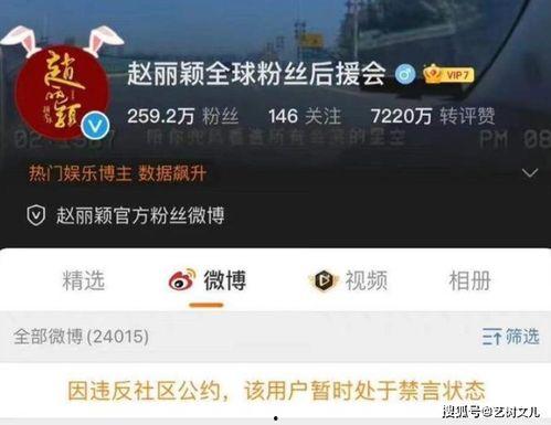 清朗行动圈内爆料视频,圈内爆料视频深度解析