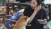 娱乐八卦爆料自制视频,自制视频爆料的惊人内幕大起底  第3张