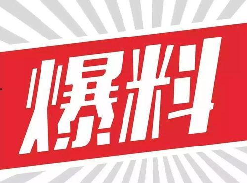 震惊爆料视频素材,背后真相令人咋舌