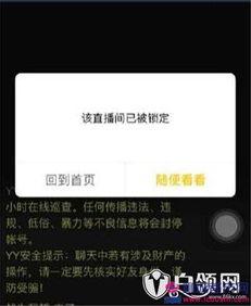 爆哥爆料视频下载网站,一键获取热门视频的秘密通道 第2张 爆哥爆料视频下载网站,一键获取热门视频的秘密通道 第2张